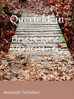 cover image of Querfeldein